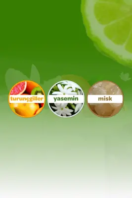 Dalin Kolonya Orman Esintisi 150 ml - 3